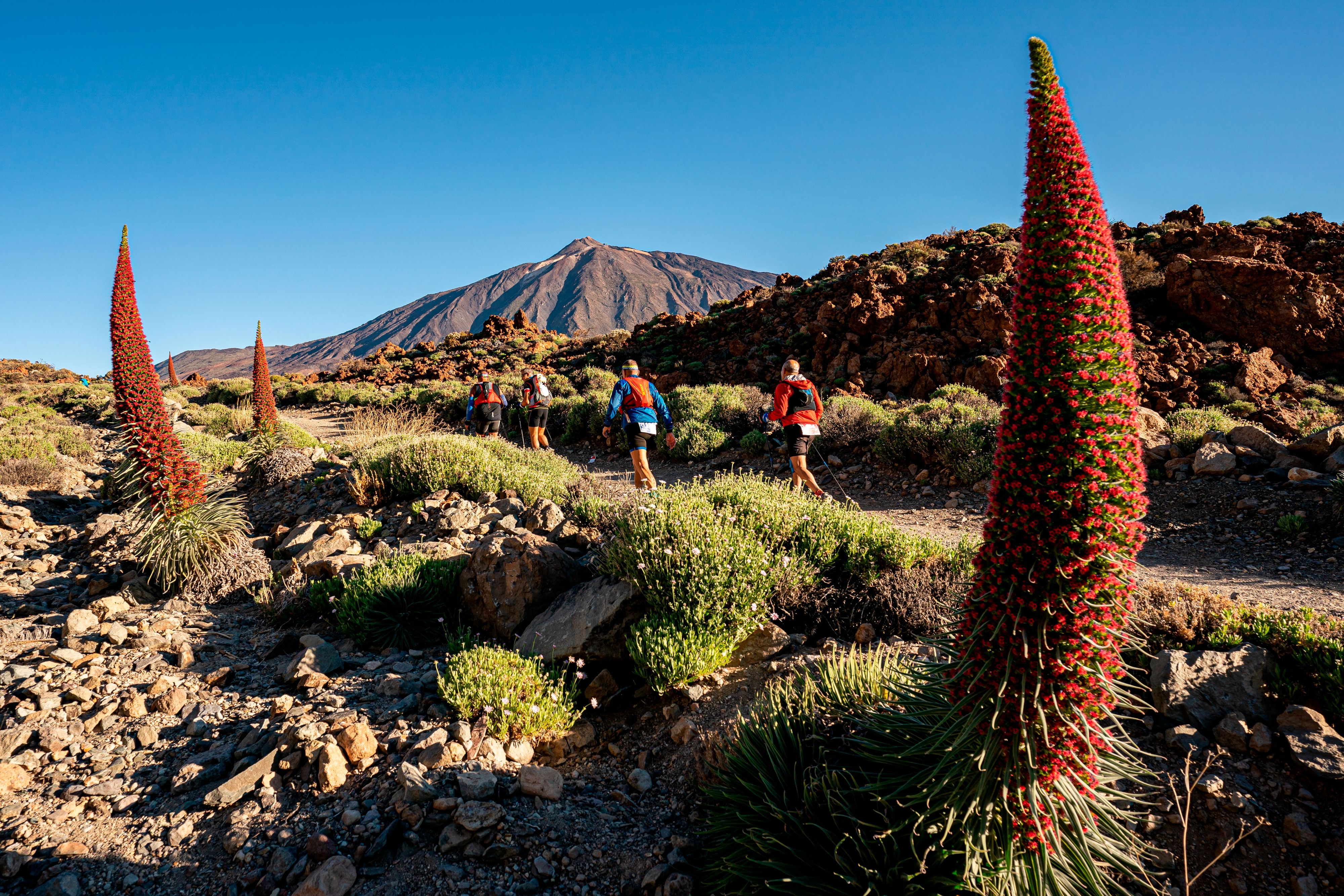 Tenerife Bluetrail by UTMB® abre inscripciones mañana miércoles 25 de junio