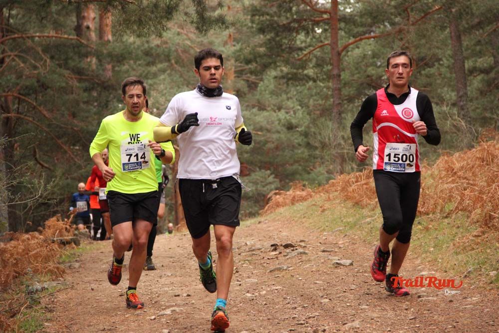 Carrera Cercedilla 2015-01