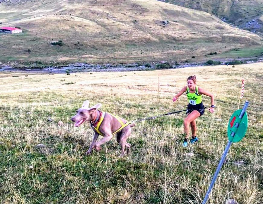 Pirineos Dog Festival 2019