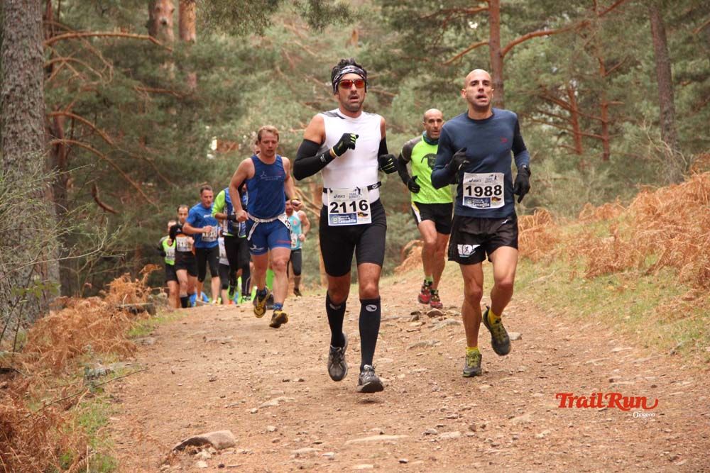 Carrera Cercedilla 2015-01