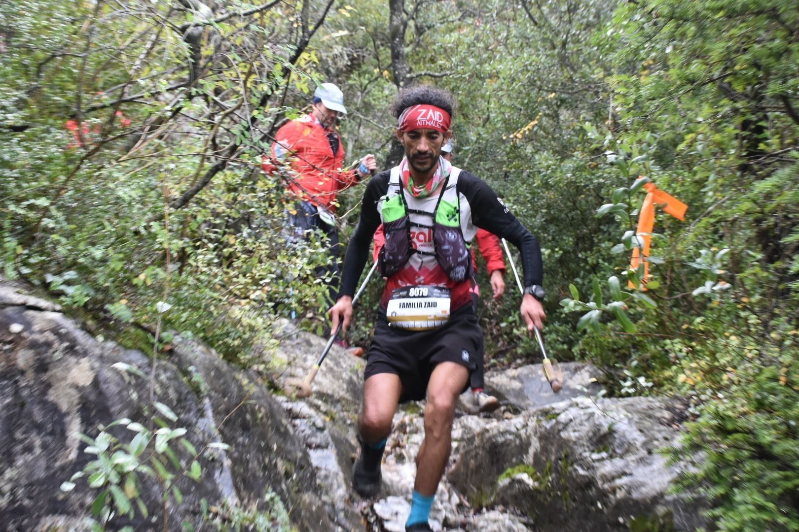 Zaid en Muntanyes de Prades