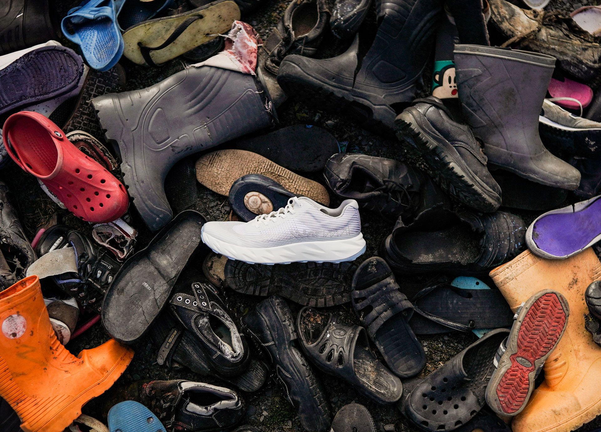 NN Toolkit  Apertura