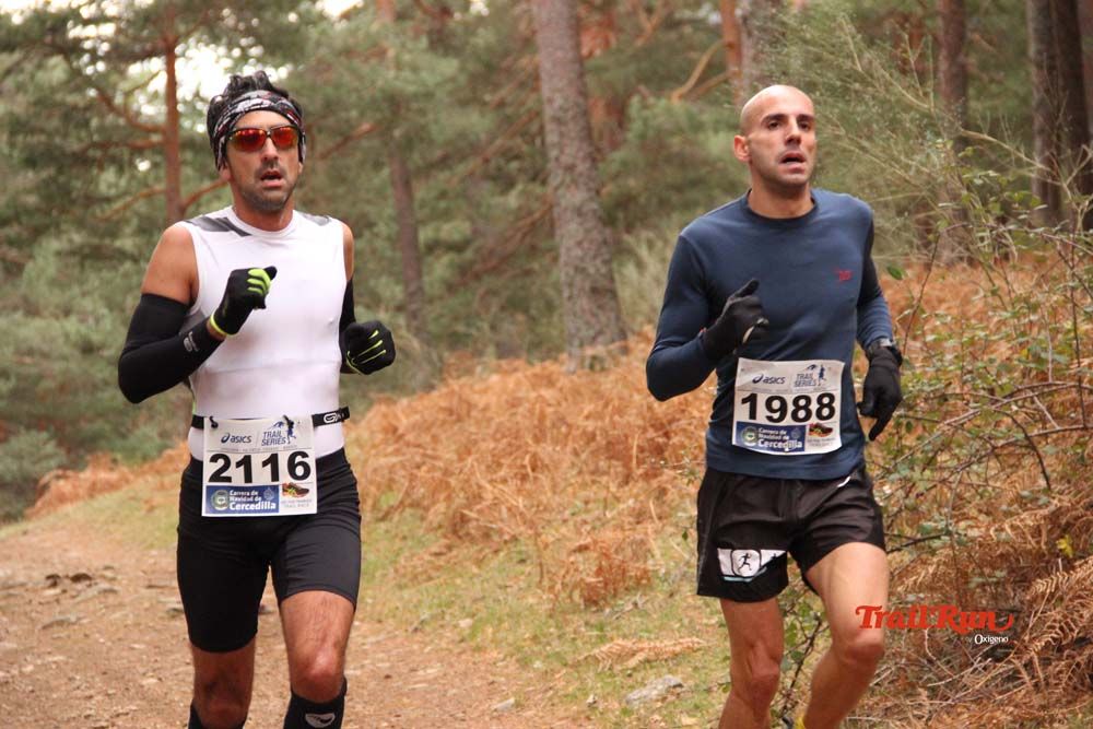Carrera Cercedilla 2015-01