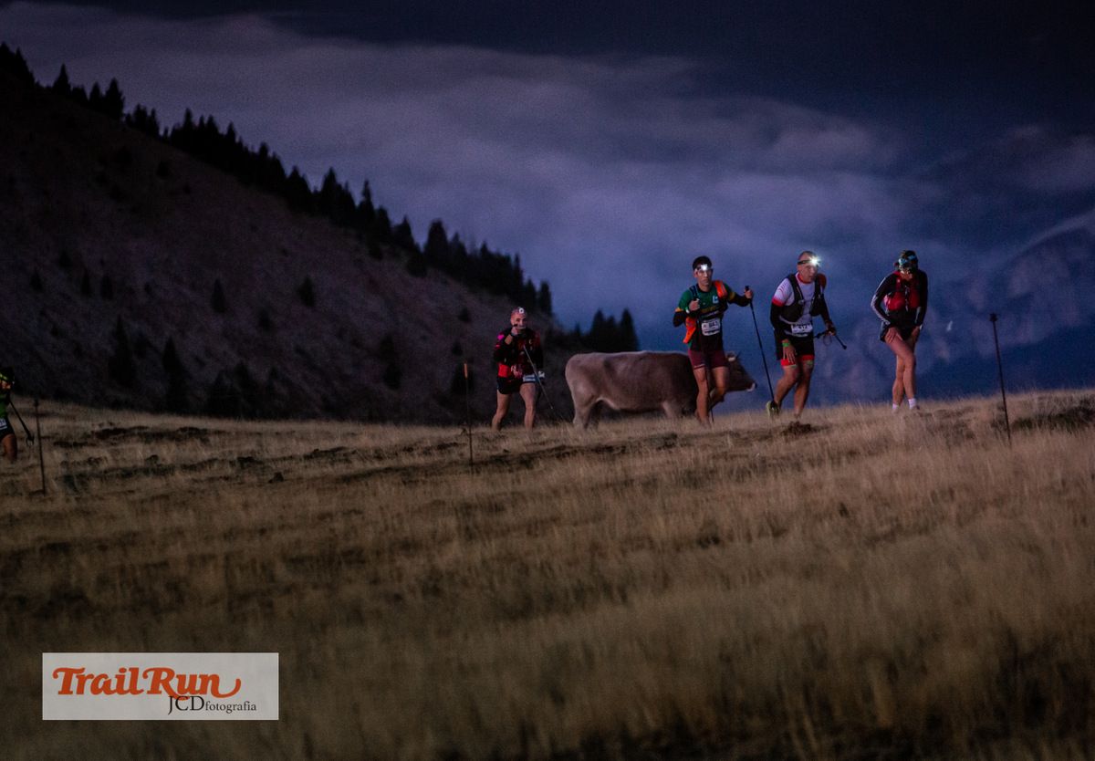 Salomón Ultra Pirineu 2019-13
