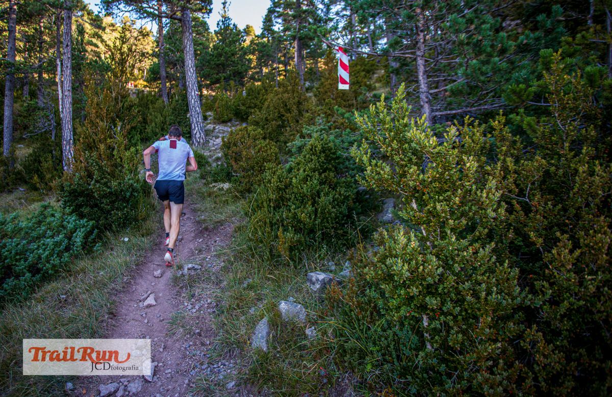 Salomón Ultra Pirineu 2019-14