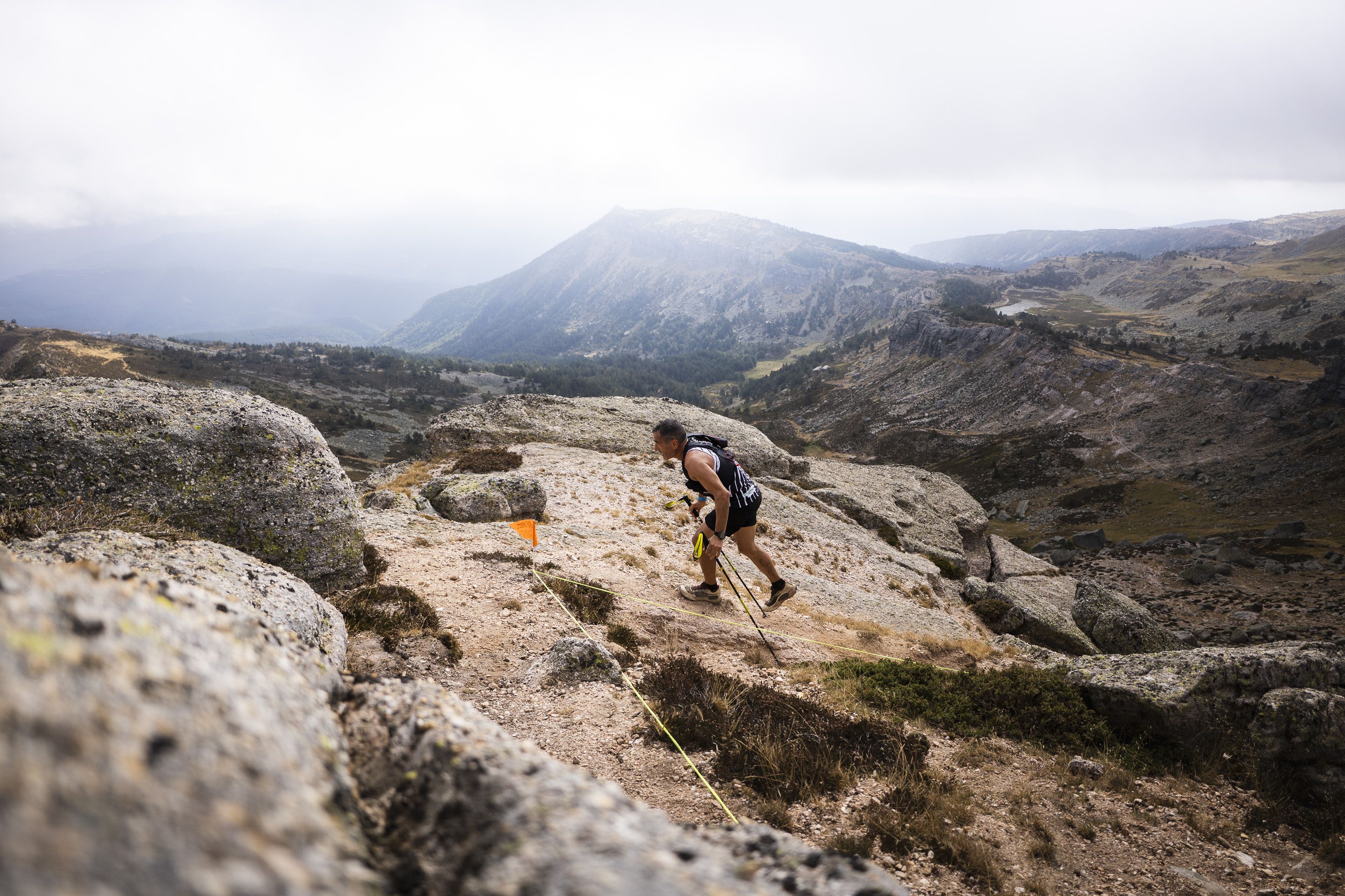 @deladelaiglesia  73D0019