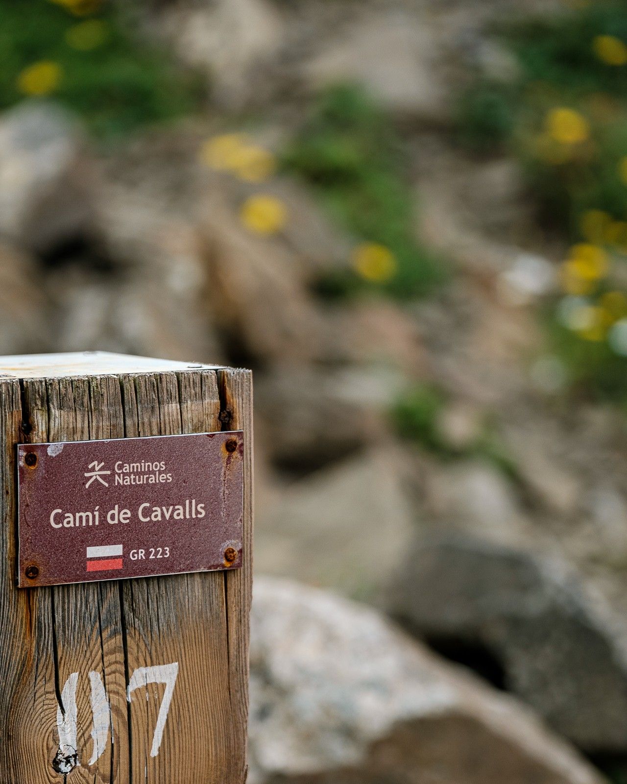 CdC 02052025 @wishanfg 2WF0013