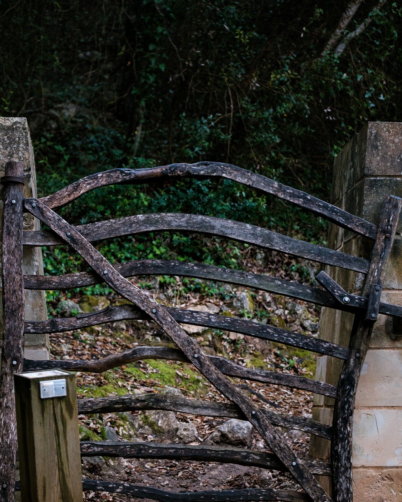 CdC 03052025 @wishanfg 2WF0012d