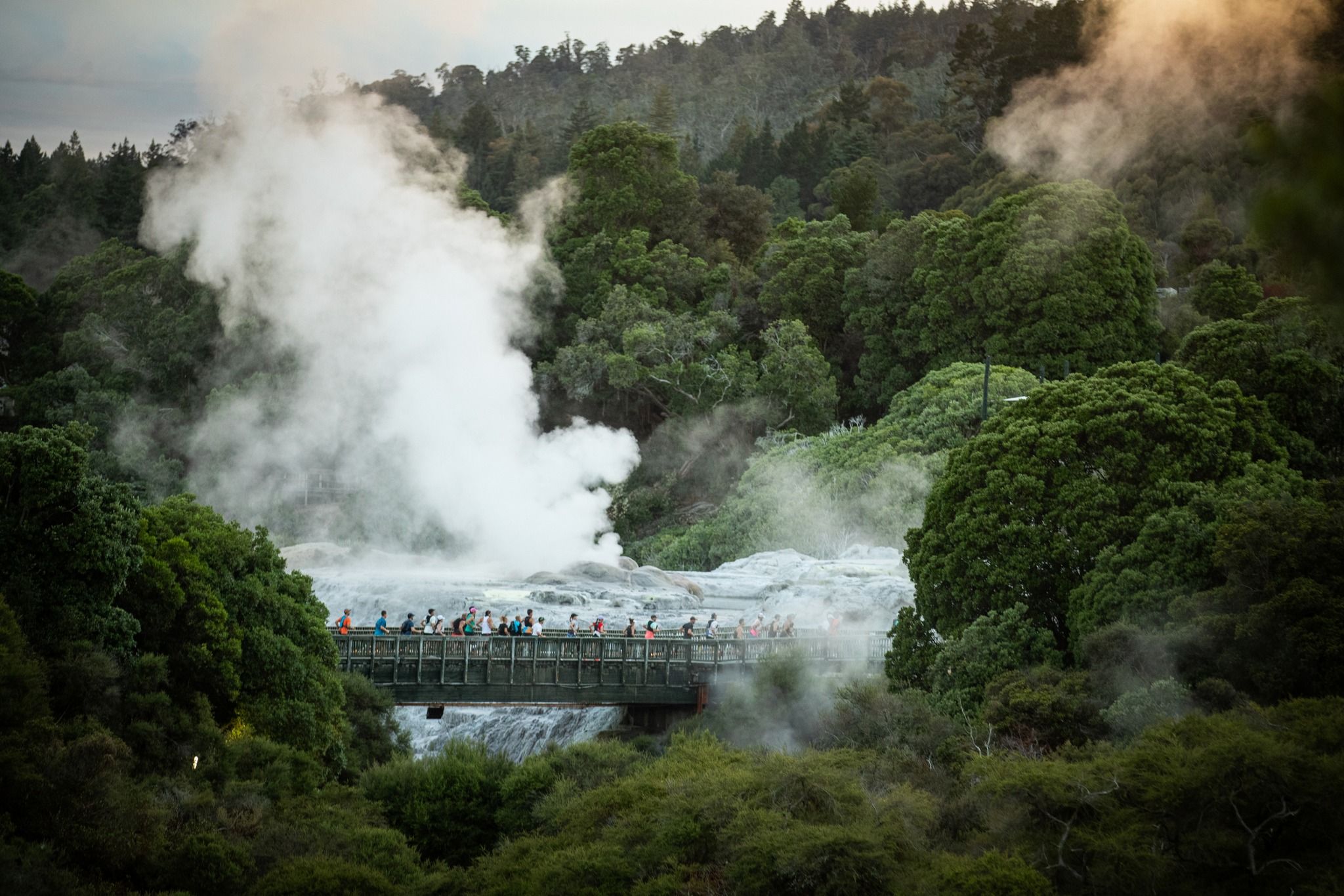 Las UTMB®️ World Series se dan cita en Nueva Zelanda. Foto ©️Tarawera Ultra-Trail by UTMB®️