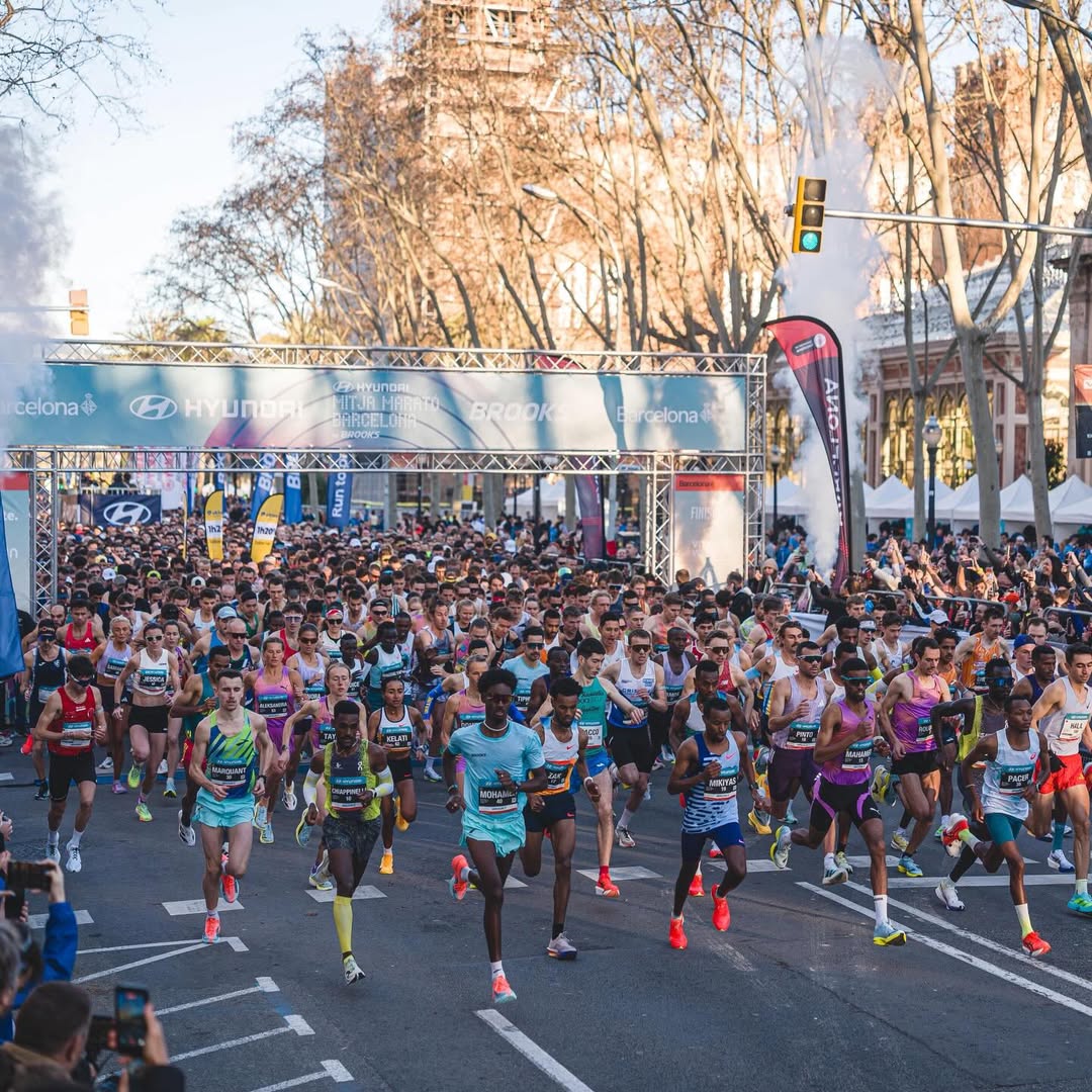 633740296 18343173223213012 8755146335777326751 n