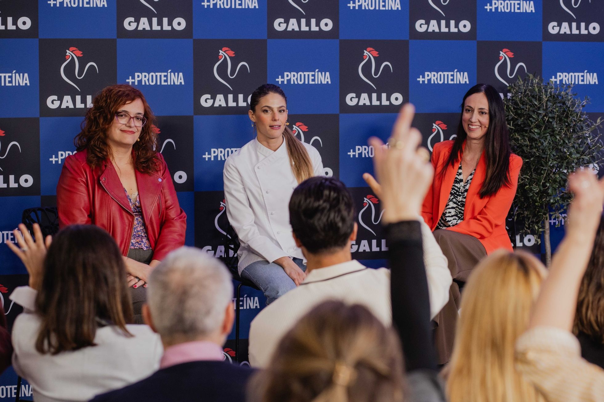 20260226 GALLO005 20260226 GALLO005