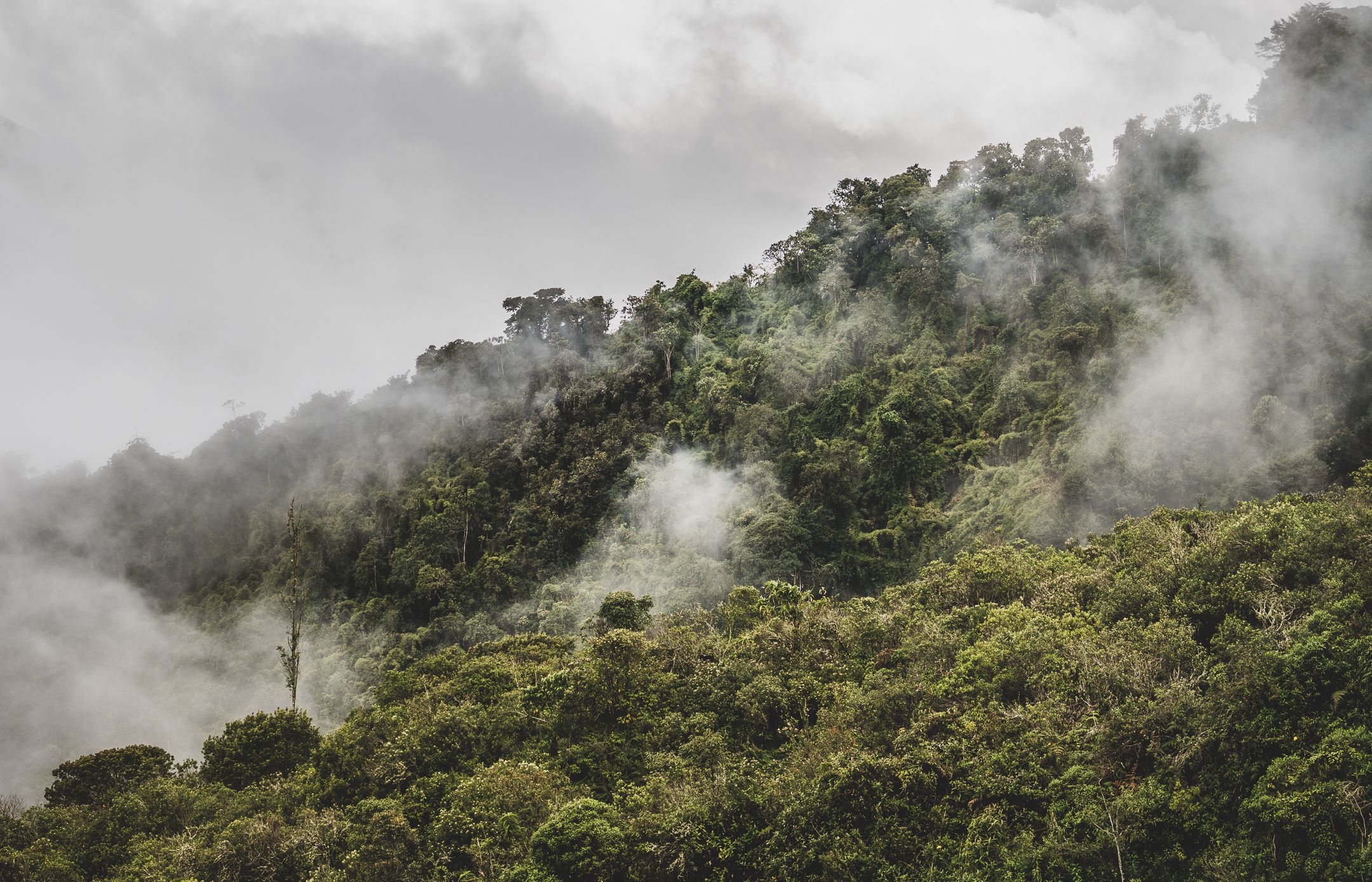 Petzltrailplus diegowinitzky 35 (1)