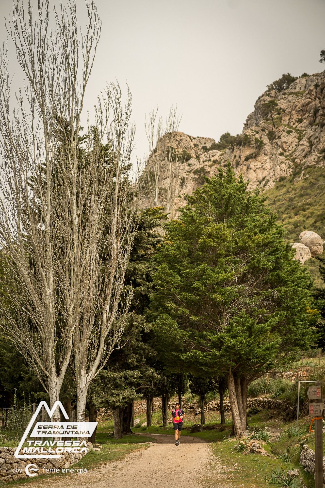 671531366 122178189722667206 1247389174463315378 n