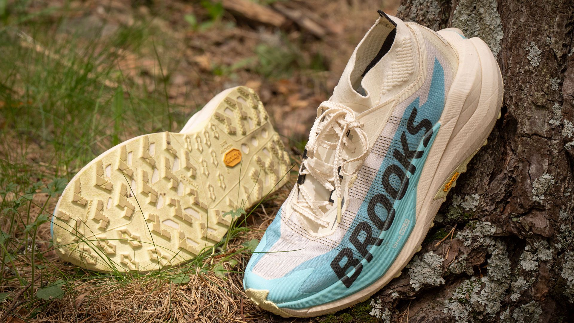 Brooks Cascadia Elite 