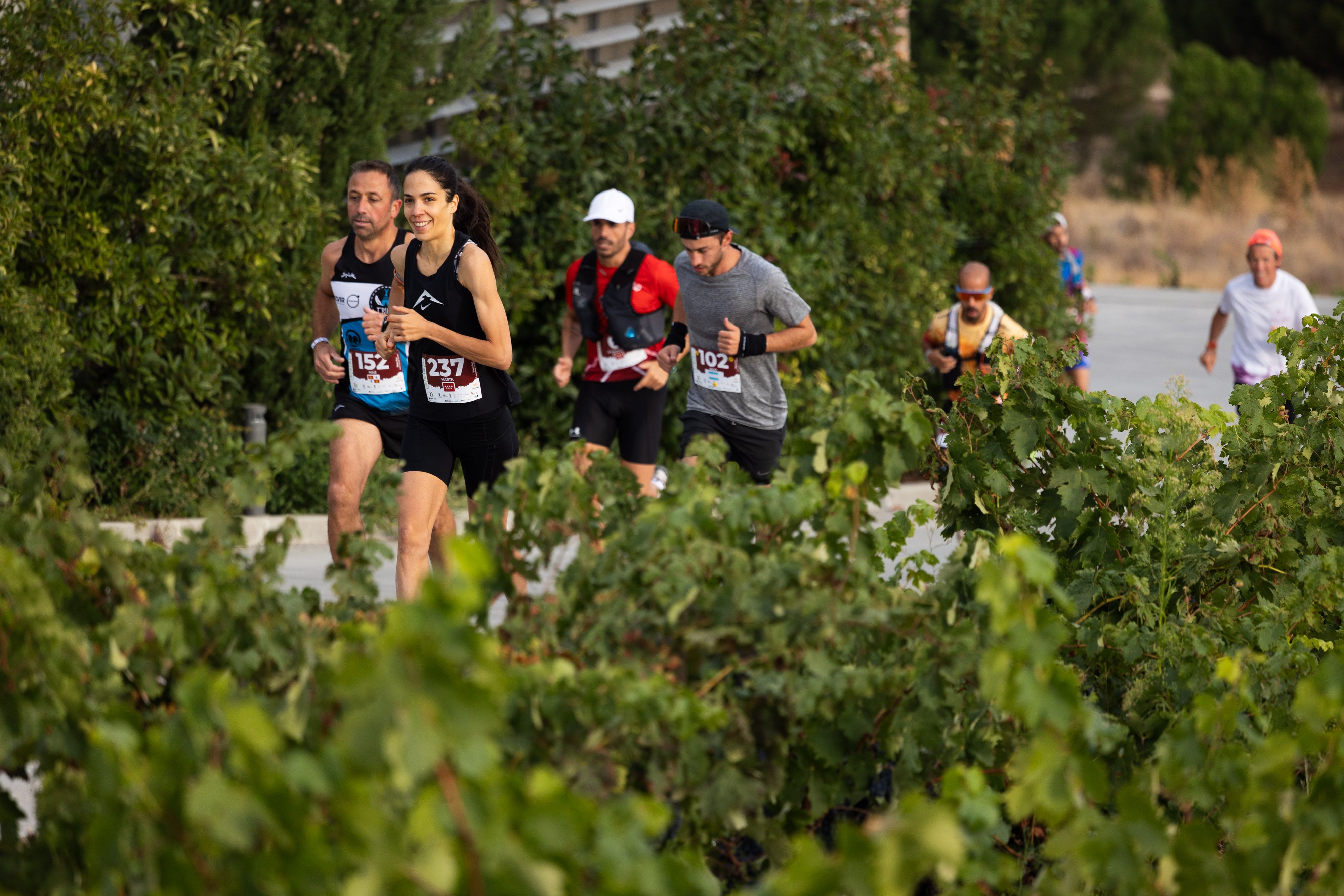 Ribera Run Experience celebra ocho años de deporte y enoturismo en el corazón de la Ribera del Duero. Foto RRE 2025