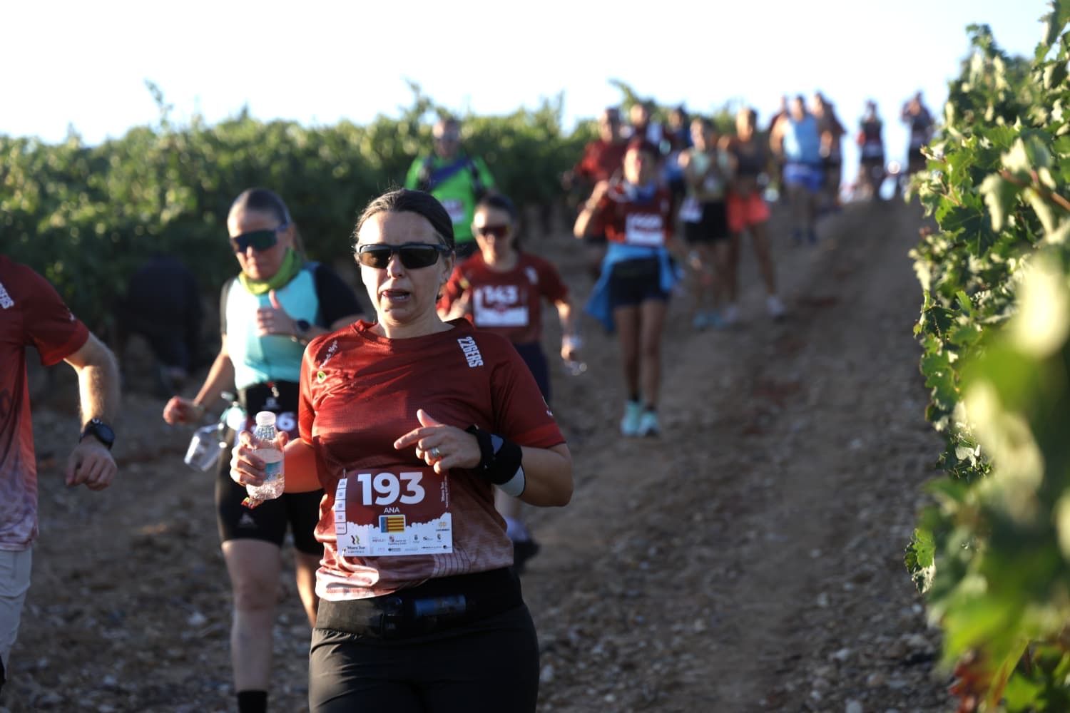 La octava añada de Ribera Run Experience confirma el perfecto maridaje entre enoturismo y running