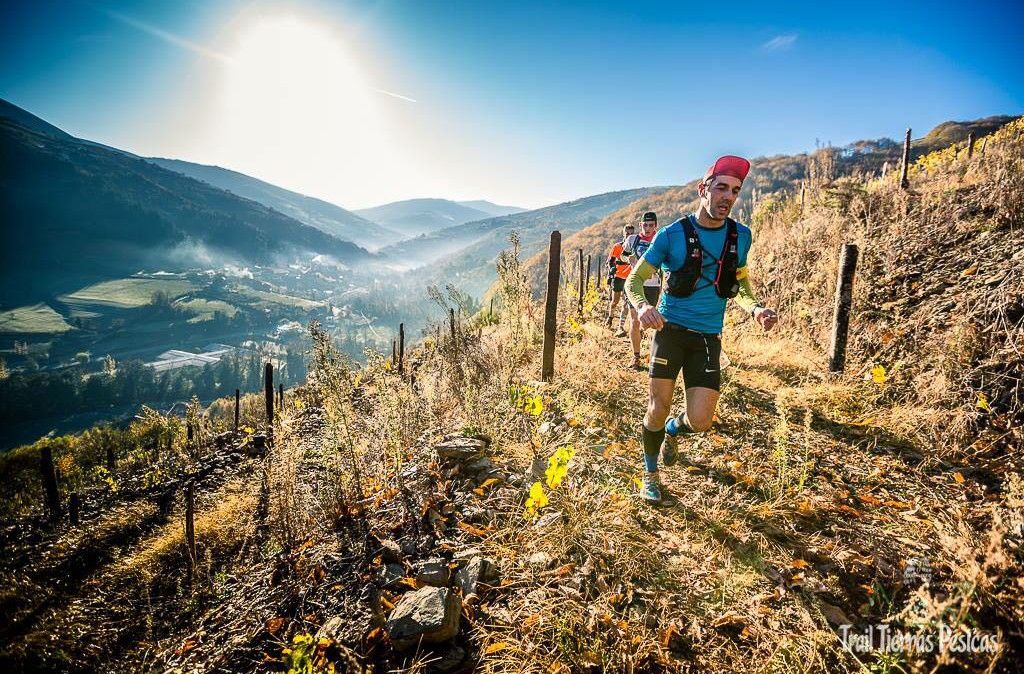 El VII Trail Tierras Pésicas preparado para recibir a 800 corredores 