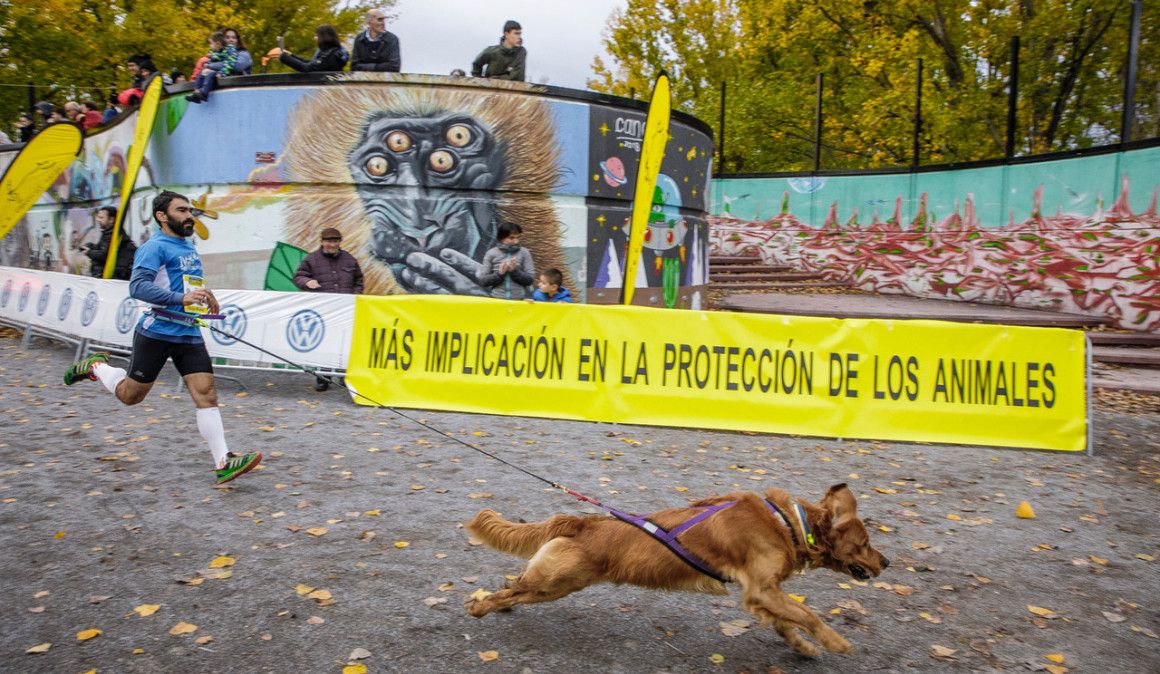 Récord de participación en el Canicross de Logroño