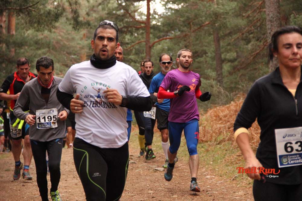 Carrera Cercedilla 2015-02