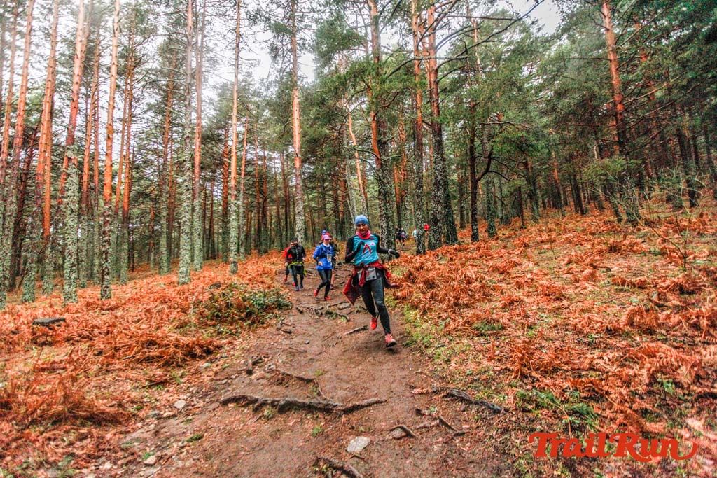 Carrera de Navidad de Cercedilla 2019 27