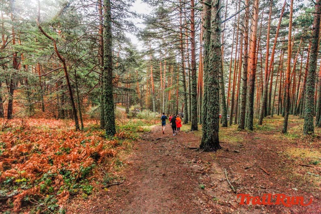 Carrera de Navidad de Cercedilla 2019 28