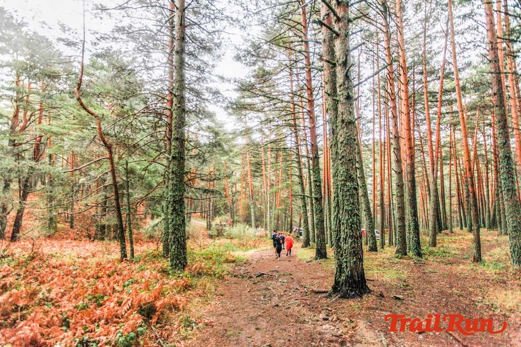 Carrera de Navidad de Cercedilla 2019 28