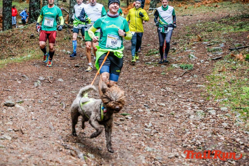 Carrera de Navidad de Cercedilla 2019 87