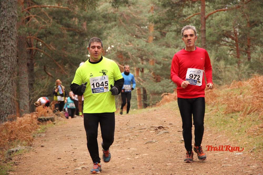 Carrera Cercedilla 2015-03