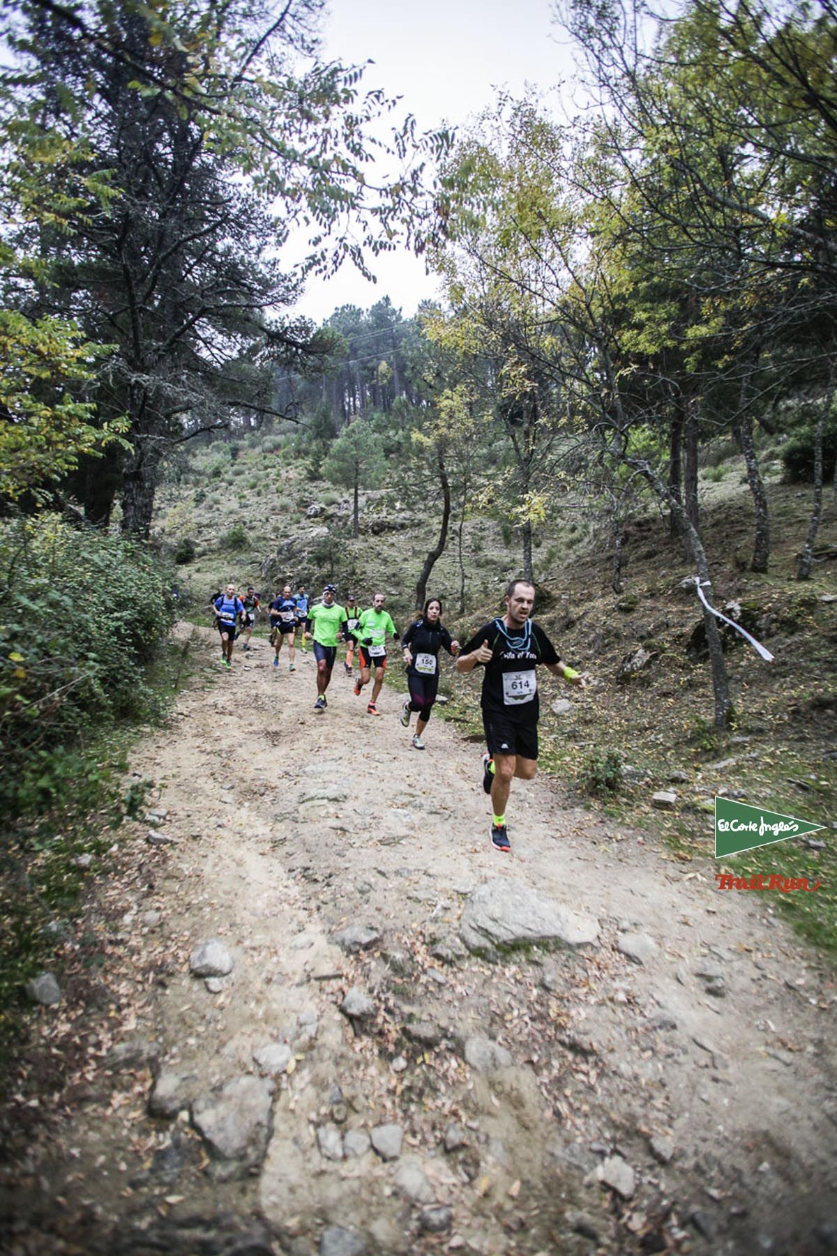 Races Trail Running-1