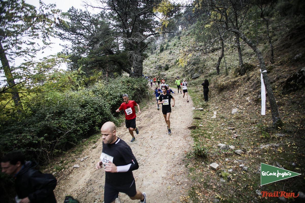 Races Trail Running-1