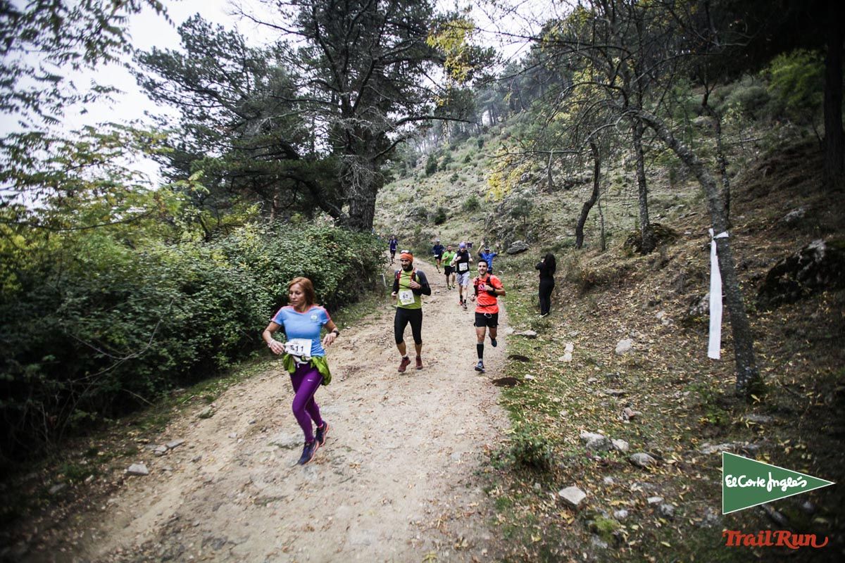 Races Trail Running-1