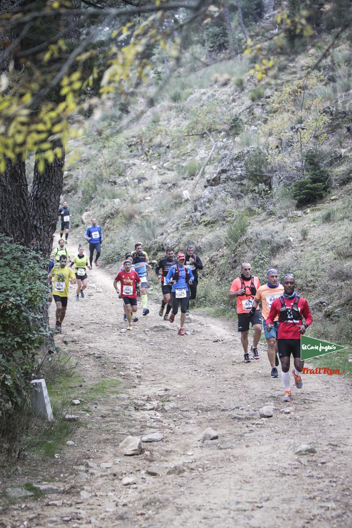 Races Trail Running-1