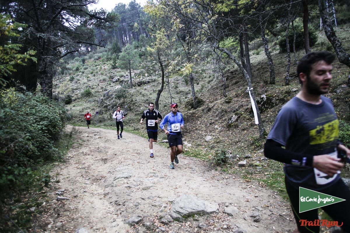 Races Trail Running-1