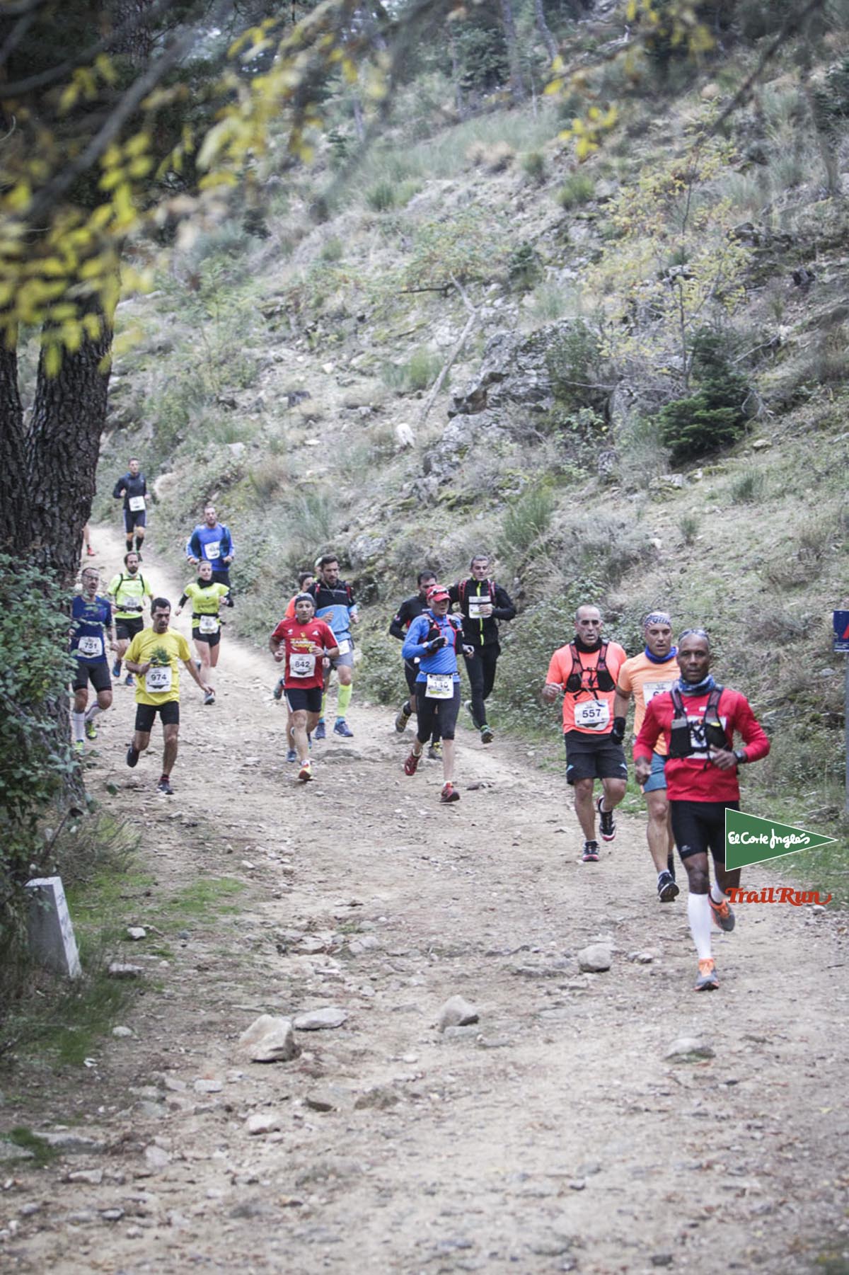 Races Trail Running-1