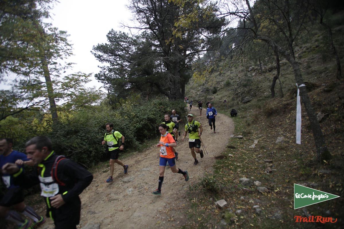 Races Trail Running-1