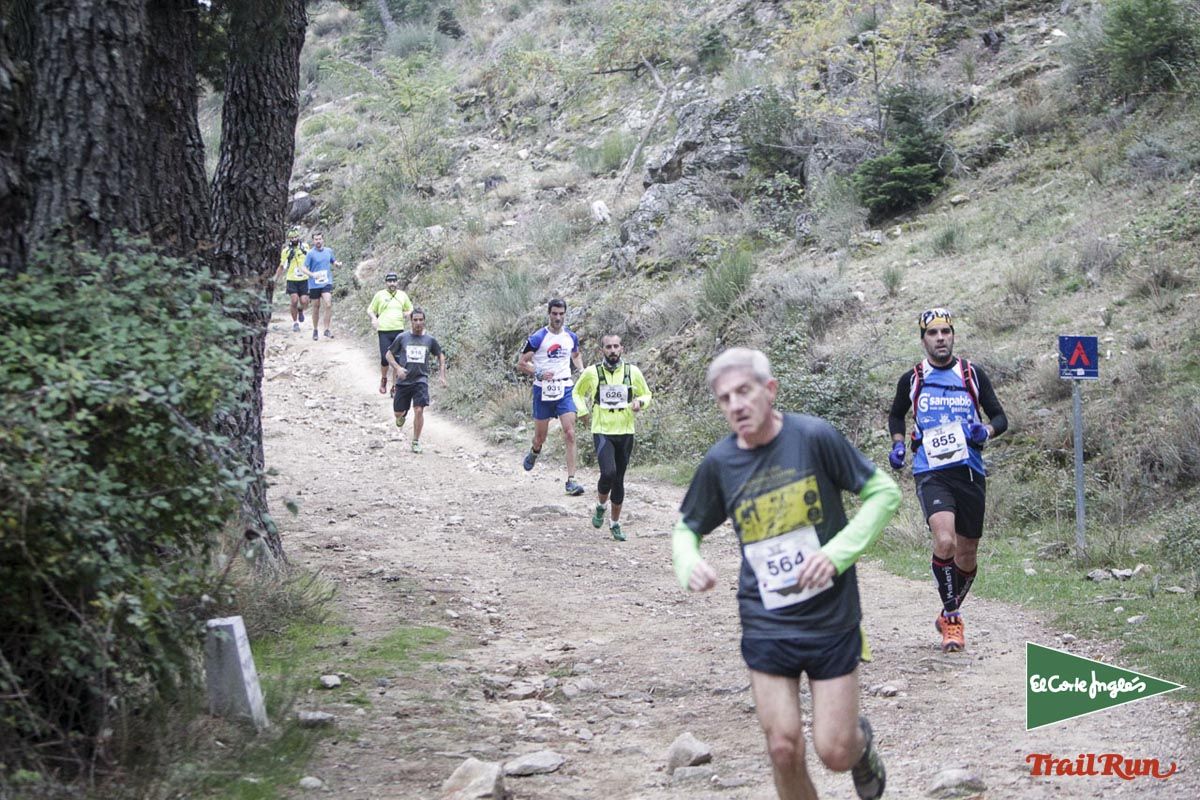 Races Trail Running-1