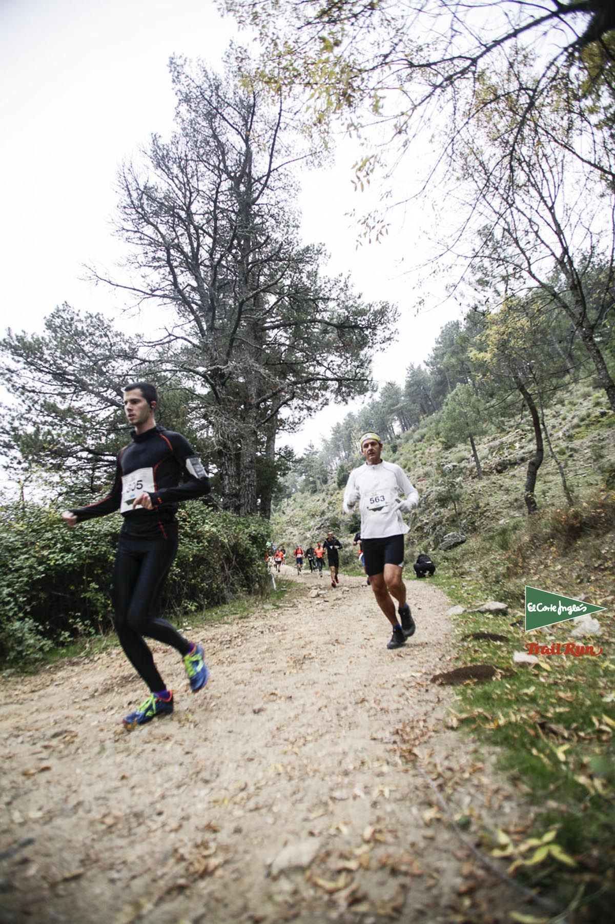 Races Trail Running-1