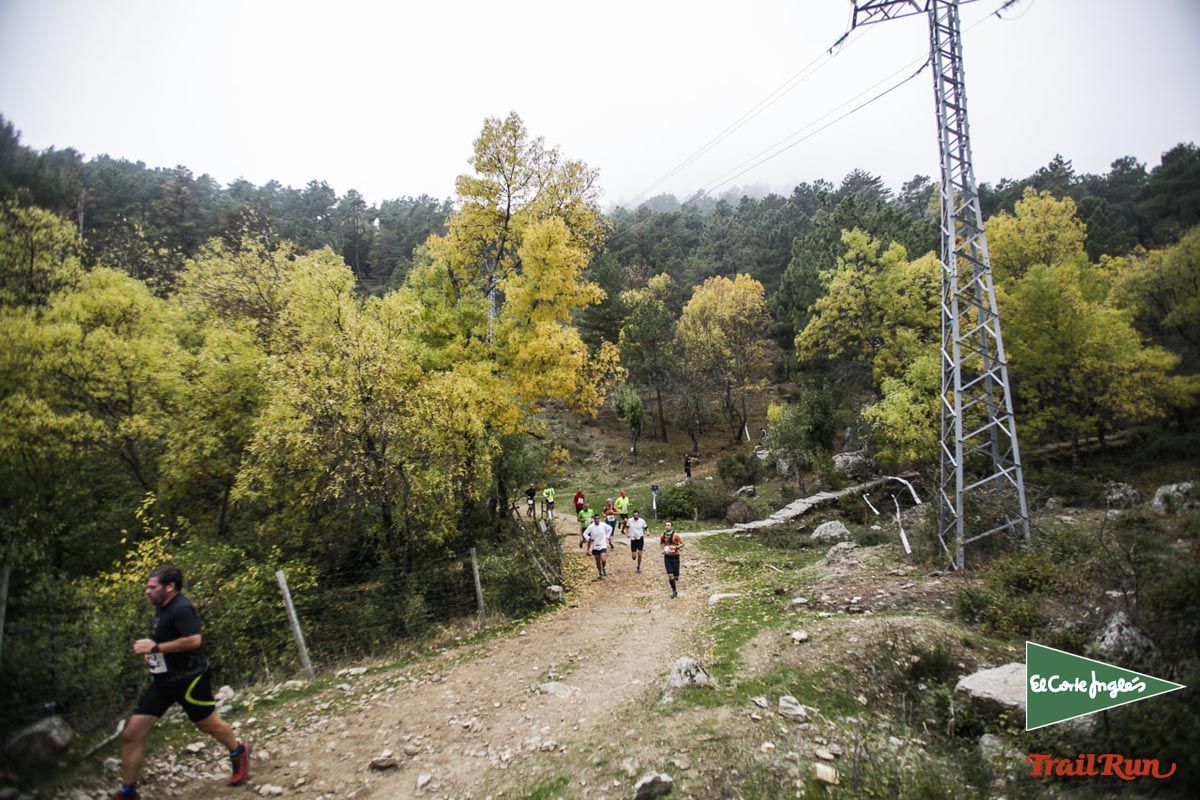 Races Trail Running-1