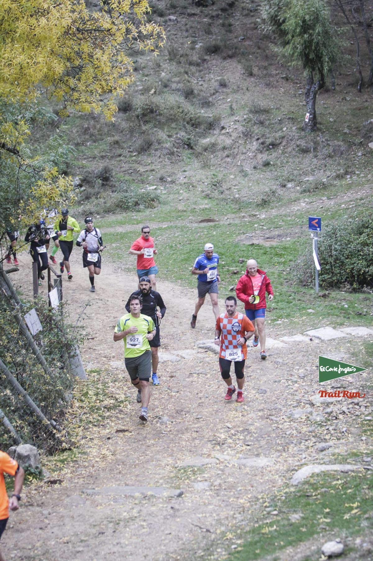Races Trail Running-1