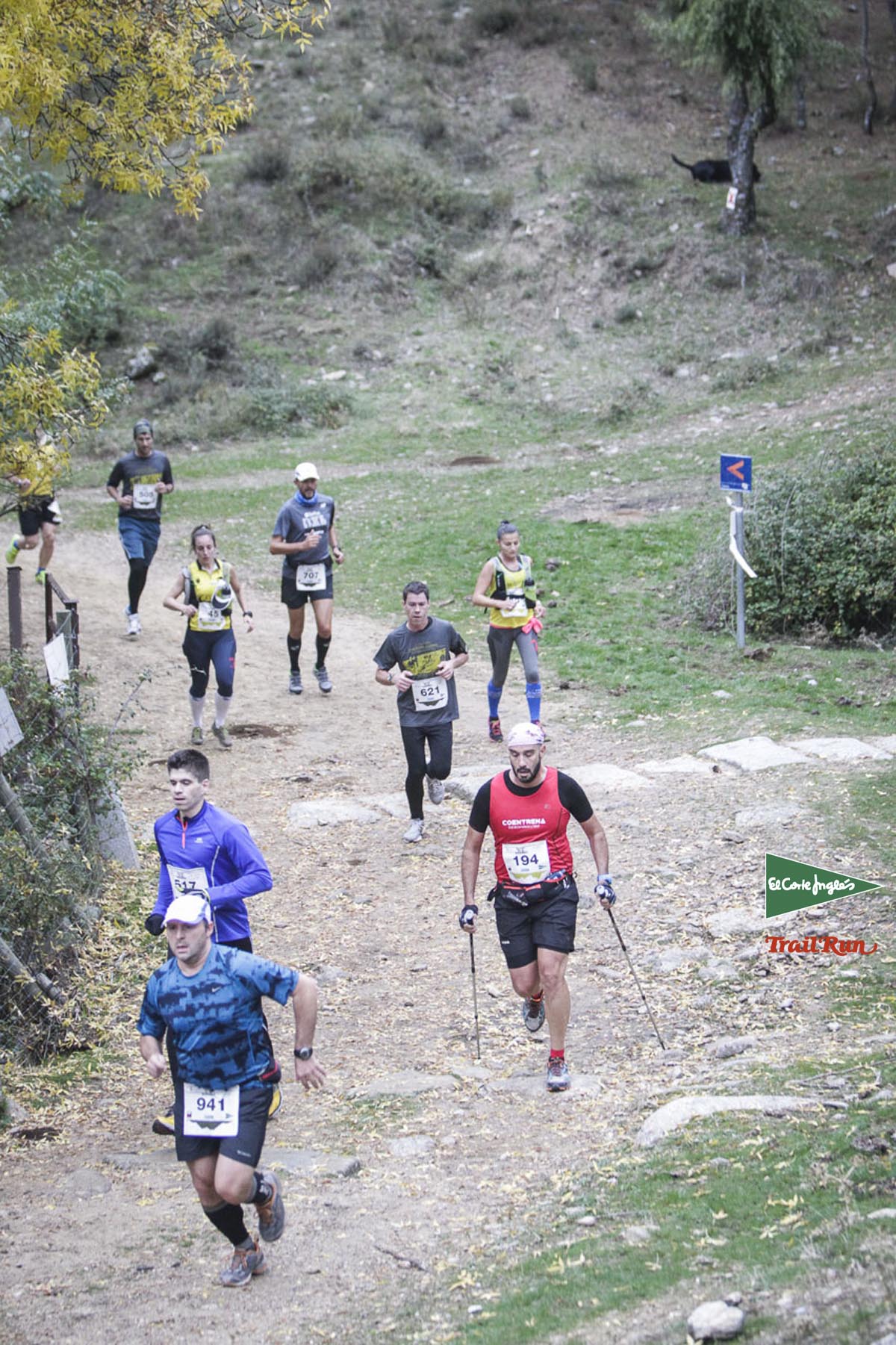 Races Trail Running-1