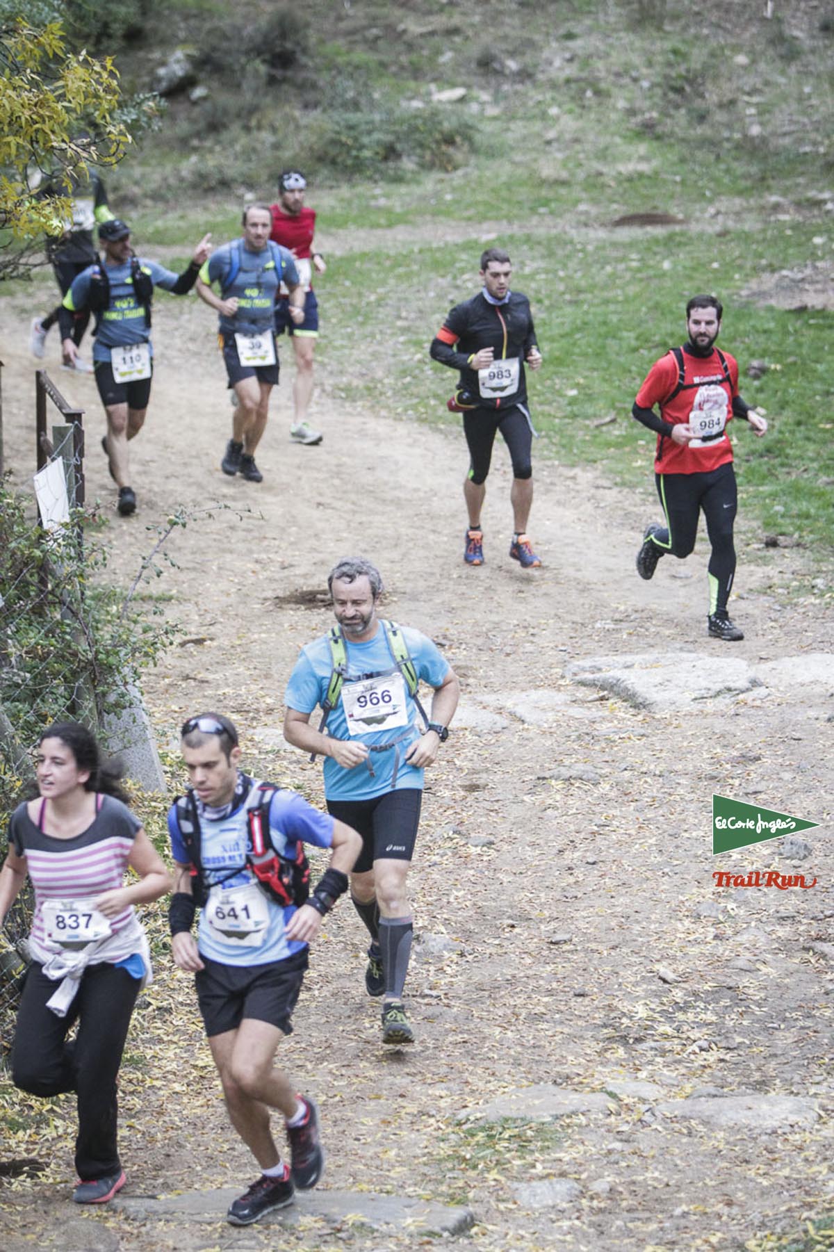 Races Trail Running-1