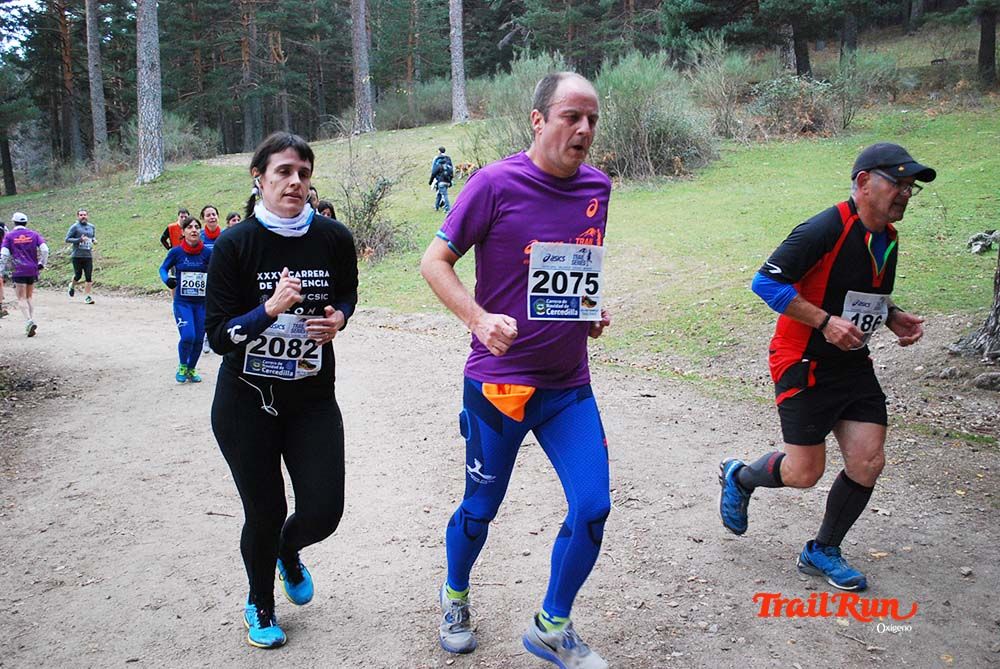 Carrera Cercedilla 2015-10