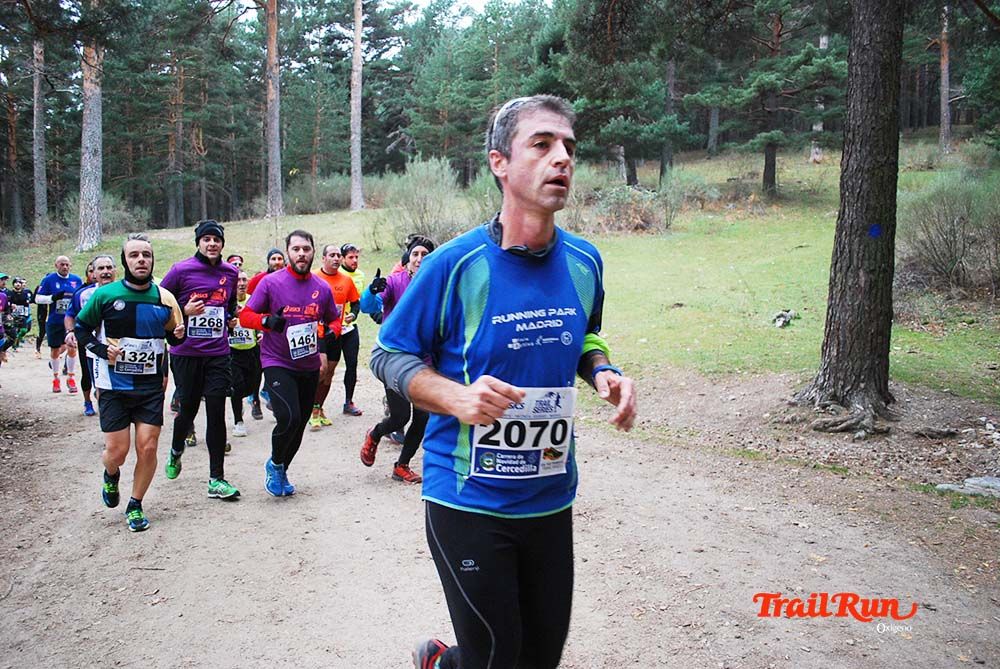 Carrera Cercedilla 2015-10