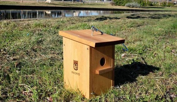 Caja nido del ayuntamiento de Madrid