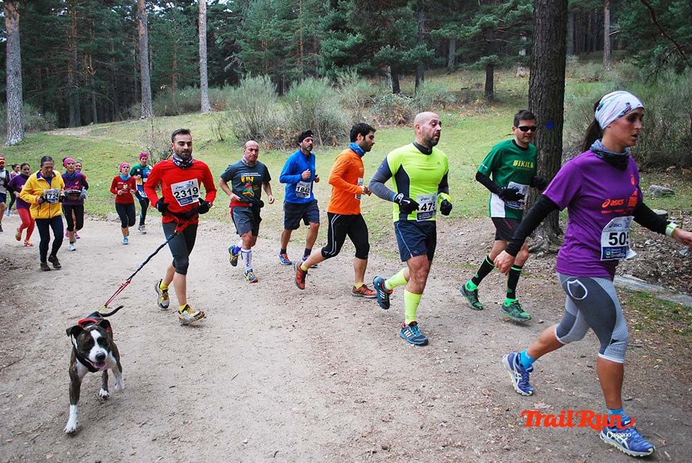 Carrera Cercedilla 2015-10