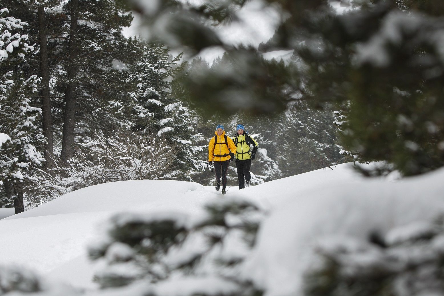 Ice Trail: La Edad de la Hipotermia