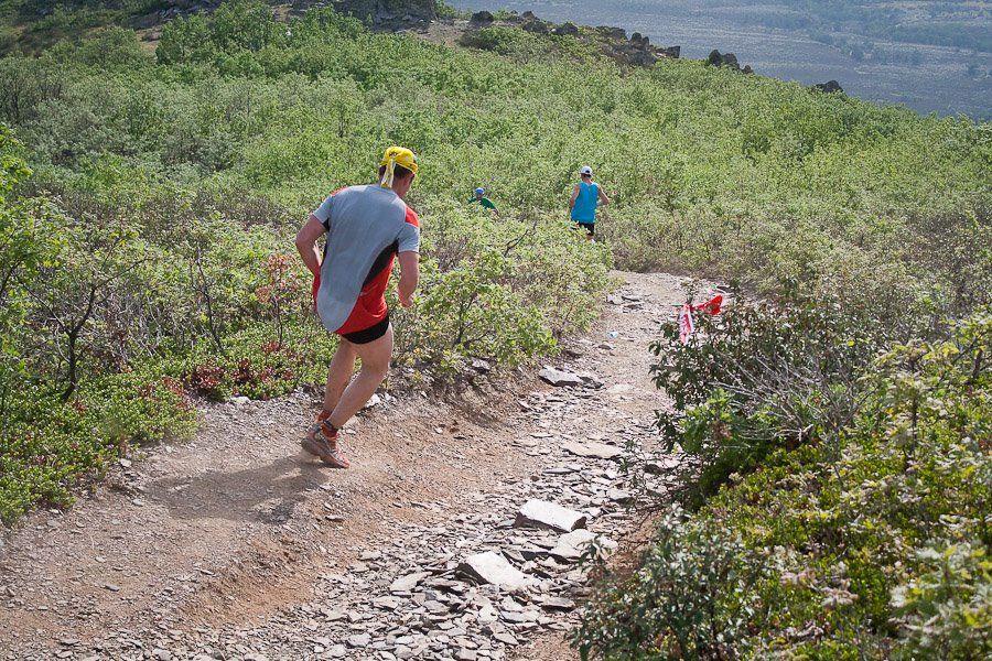 El Medio Maratón del Ocejón celebra su 15 cumpleaños