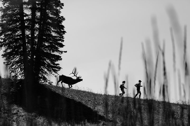 Revista Trail Run: preguntas y respuestas