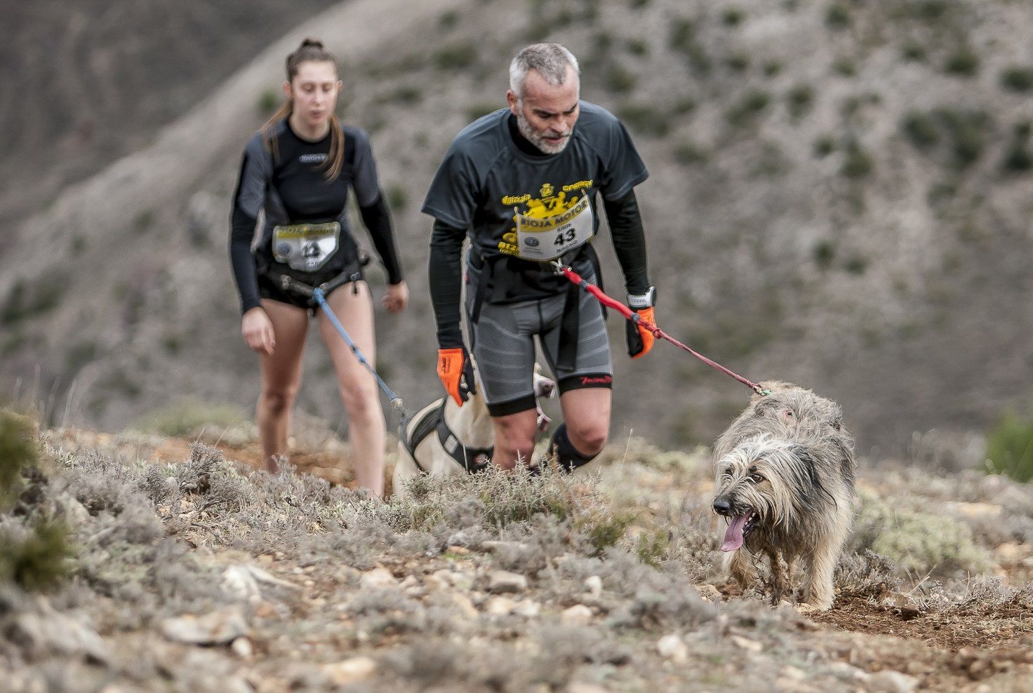 Dureza y diversión en el Canicross Arnedillo