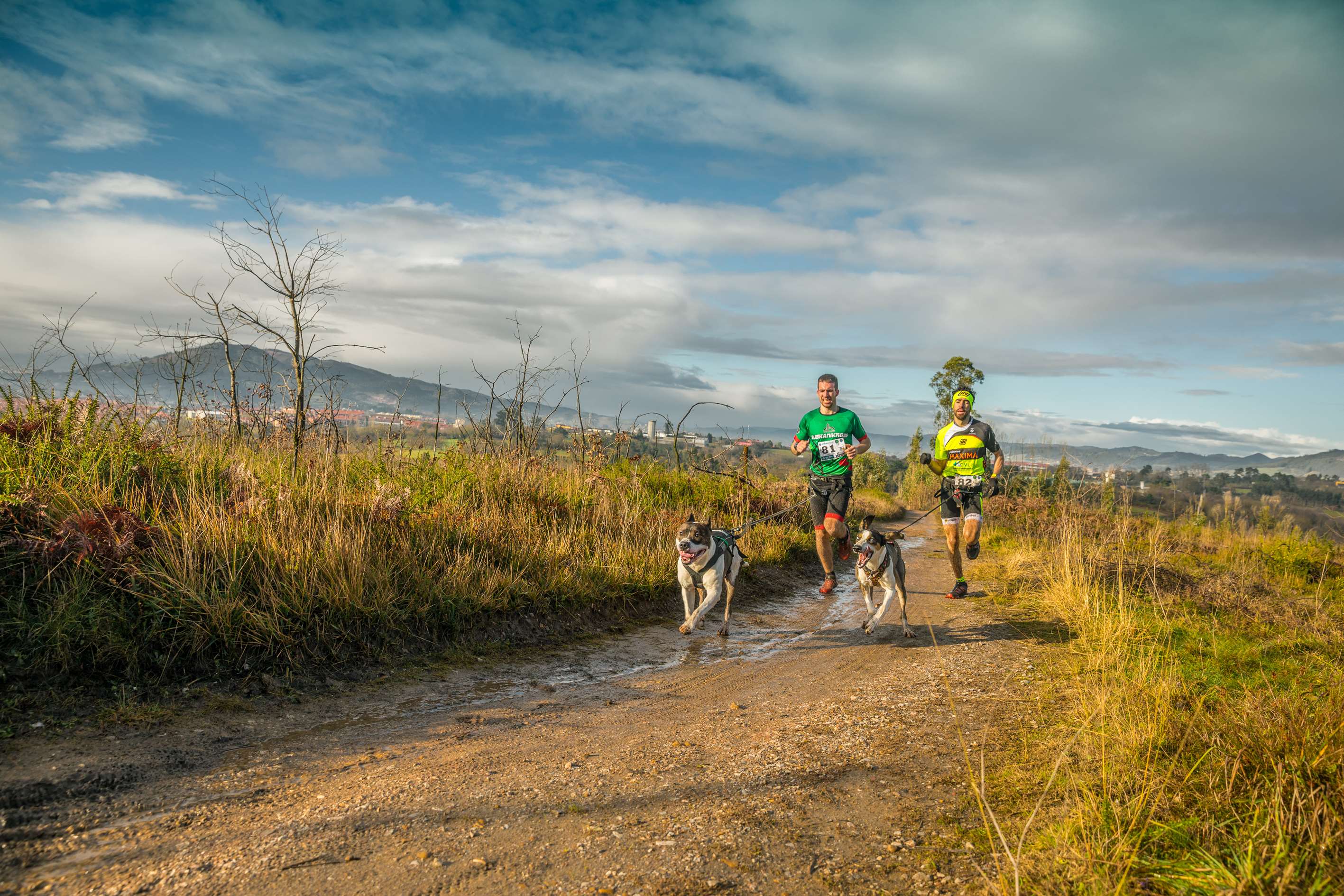 El Mushing “La Freseneda” acogió la Copa de España de Canicross